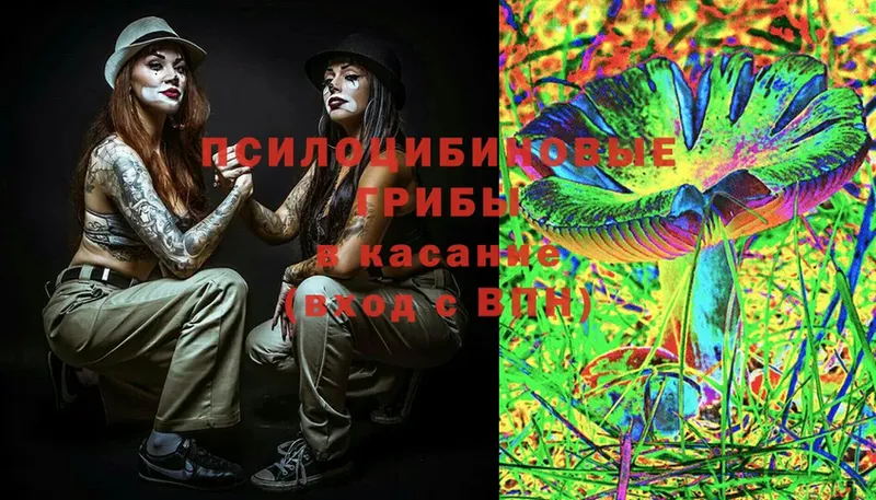 Галлюциногенные грибы MAGIC MUSHROOMS  Юрьев-Польский 